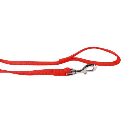 Image showing  Double Ply Nylon Dog Leash