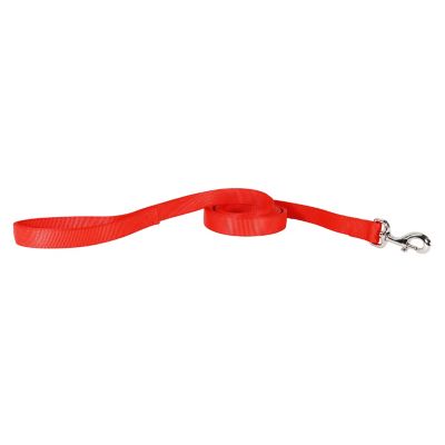 Image showing  Double Ply Nylon Dog Leash