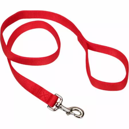 Retriever Double-Ply Nylon Dog Leash Dog Basic Leashes