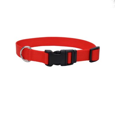 Retriever Adjustable Dog Collar with Plastic Buckle