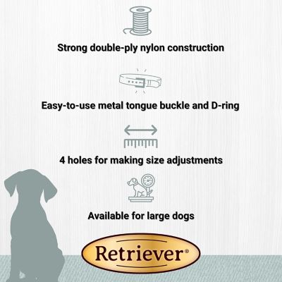 Image showing  Double-Ply Nylon Dog Collar