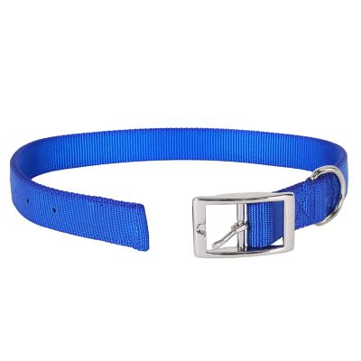 Image showing  Double-Ply Nylon Dog Collar