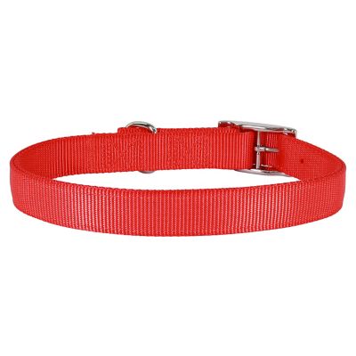 Image showing  Double-Ply Nylon Dog Collar