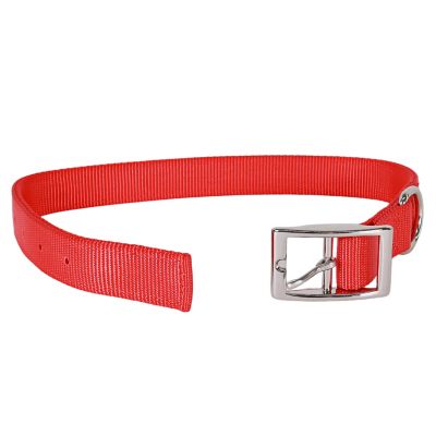 Image showing  Double-Ply Nylon Dog Collar