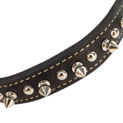 Image showing  Oak Tanned Leather Double-Ply Spiked Dog Collar, 1 in. x 20 in., Black
