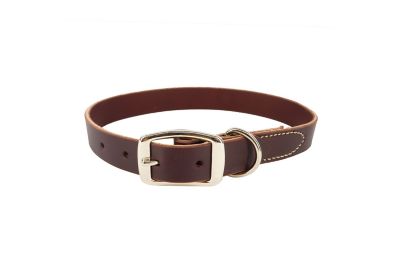 Retriever Latigo Leather Town Dog Collar