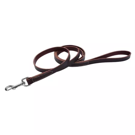 Retriever Latigo Leather Dog Leash 3/4 in x 6 ft Dog Basic Leashes