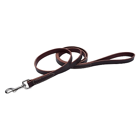 Retriever Latigo Leather Dog Leash, 3/4 in. x 6 ft.