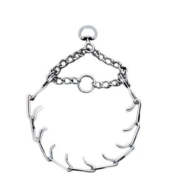 Image showing  Prong Dog Training Collar