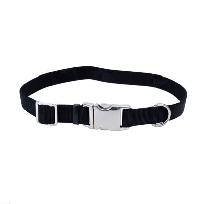 metal buckle dog collar