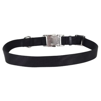 Image showing  Adjustable Dog Collar with Metal Buckle