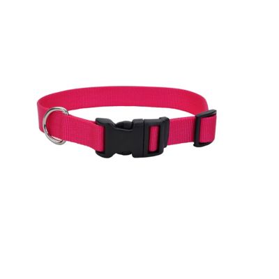 Retriever Adjustable Dog Collar with Plastic Buckle