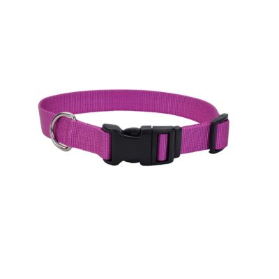 Retriever Adjustable Dog Collar with Plastic Buckle