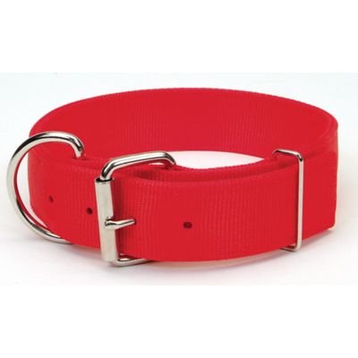 Retriever Double-Ply Dog Collar with Roller Buckle
