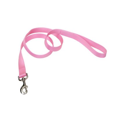 Retriever Single-Ply Nylon Dog Leash, 6 ft.
