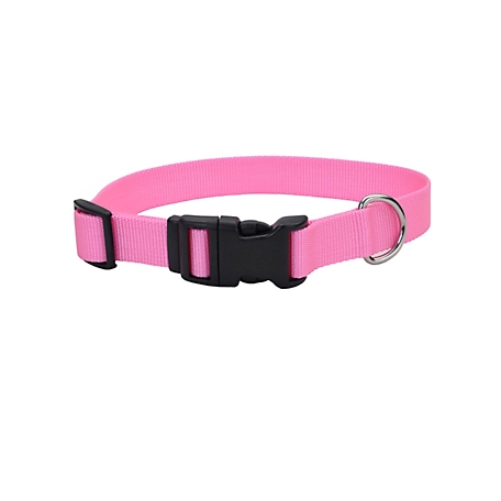 Retriever Adjustable Nylon Dog Collar, Bright Pink