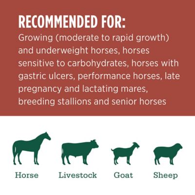 Image showing  Premium Western Forage Premium Alfalfa/Orchard Grab and Go Compressed Hay Bale, 50 lb.