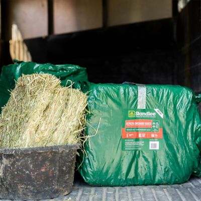 Image showing  Premium Western Forage Premium Alfalfa/Orchard Grab and Go Compressed Hay Bale, 50 lb.