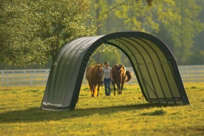 Image showing 7 th ShelterLogic 12 x 20 x 8-3/10ft. Equine Run-In Shed