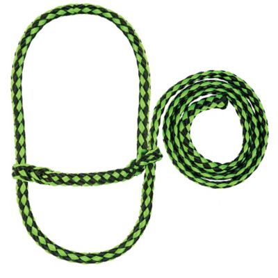 Weaver Leather Poly Rope Sheep Halter, Lime Zest/Black