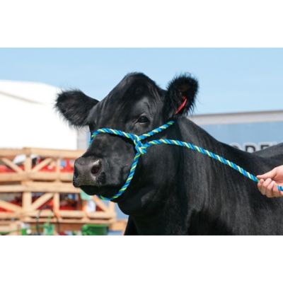 Image showing  Poly Adjustable Cattle Rope Halter for Cows