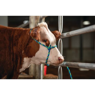 Image showing  Poly Adjustable Cattle Rope Halter for Cows