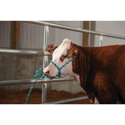 Image showing  Poly Adjustable Cattle Rope Halter for Cows
