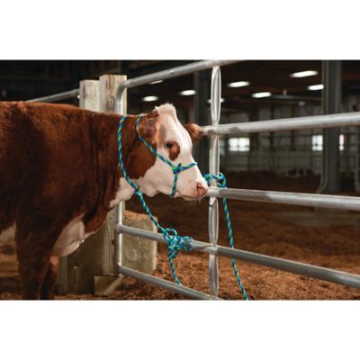 Image showing 6 th Weaver Livestock Poly Adjustable Cattle Rope Halter for Cows