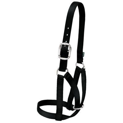 Weaver Leather Barn Cow Halter, 1 in. Nylon, 9-1/2-12-1/2 in. Crown Strap, 6 in. Cheek Piece, 11 in. Noseband, Small