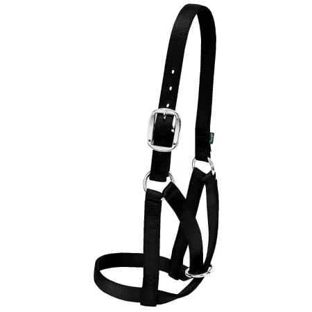 Weaver Leather Nylon Cow Halter 1 in 9-1/2-12-1/2 in Crown strap 6" cheek piece 11" noseband small Livestock Ropes Halters & Hobbles