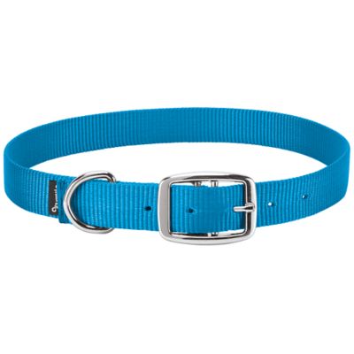 Weaver Livestock Nylon Single-Ply Goat Collar, 5/8 in. x 14 in. to 16 in., Small, Pink Fusion
