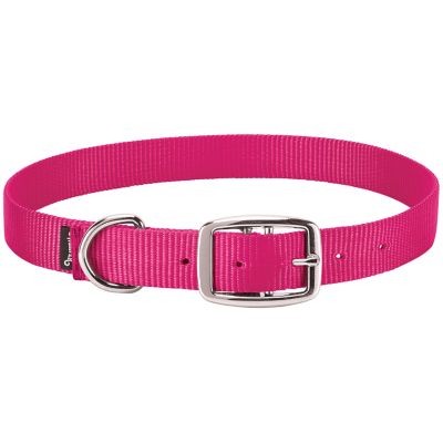 Weaver Leather Single-Ply Nylon Goat Collar, 5/8 in. x 14 in. to 16 in., Small, Pink Fusion