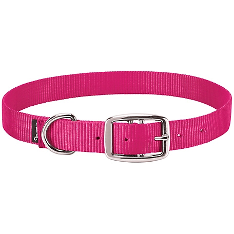 Weaver Leather Single-Ply Nylon Goat Collar, 5/8 in. x 14 in. to 16 in., Small, Pink Fusion
