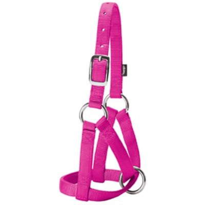 Weaver Livestock Nylon Criss-Cross Goat Halter, 3/4 in.
