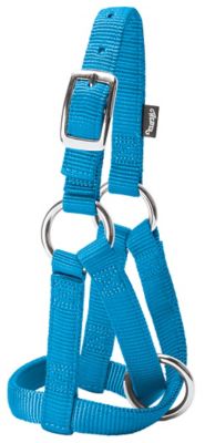 Weaver Leather Nylon Criss-Cross Goat Halter, 3/4 in., Medium, Hurricane Blue