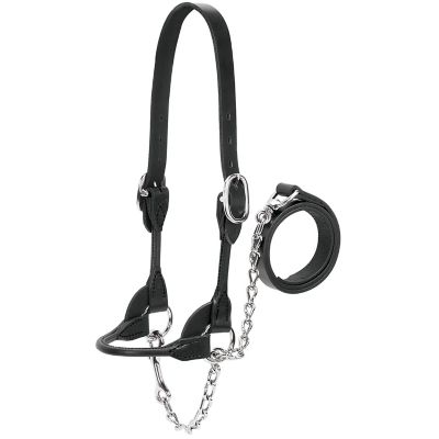 Image showing  Leather Dairy/Beef Rounded Show Halter, 14-17 in. Crown Strap, 5-1/4 in. Cheek Piece, 7 in. Noseband
