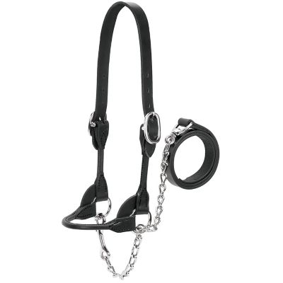 Weaver Livestock Leather Dairy/Beef Rounded Show Halter, 14-17 in. Crown Strap, 5-1/4 in. Cheek Piece, 7 in. Noseband