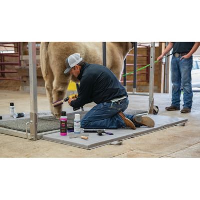 Image showing  ProPink by Luster's Horse Conditioner, 14 oz.