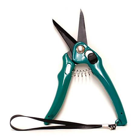 Producer's Pride Burgon and Ball Footrot Shears with Adjustable Tension