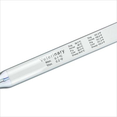 Image showing  Veterinary Thermometer, Fahrenheit/Celsius