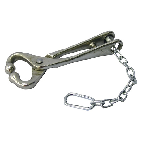 Producer's Pride Bull Lead with Chain