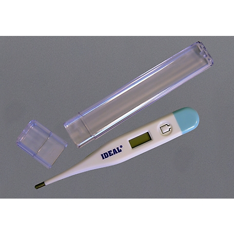 Thermometer Veterinary Equipment Electronic Body Product