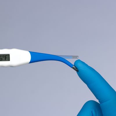Image showing  Digital Veterinary Thermometer, Fahrenheit