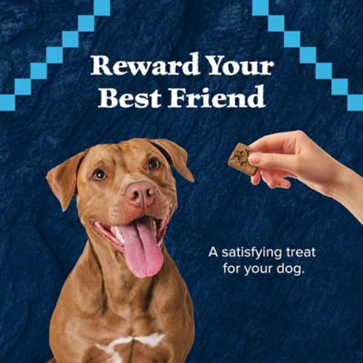 Image showing 6 th Blue Buffalo Wilderness Trail Treats High Protein Grain-Free Turkey Flavor Crunchy Dog Biscuits, 10 oz.