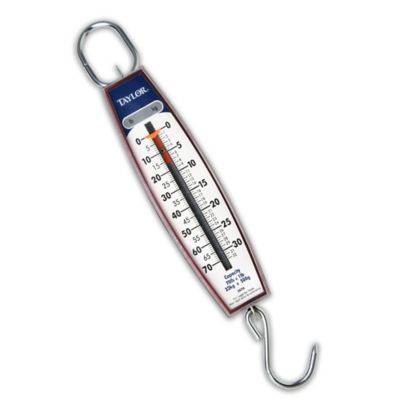 Taylor 70 lb. Hanging Scale at Tractor Supply Co.