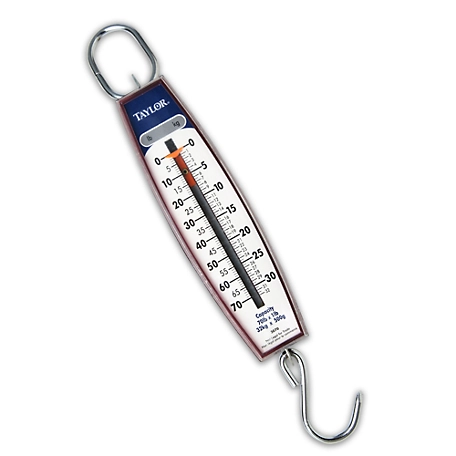 Taylor 70 lb. Hanging Scale