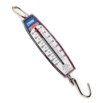 Image showing  70 lb. Hanging Scale
