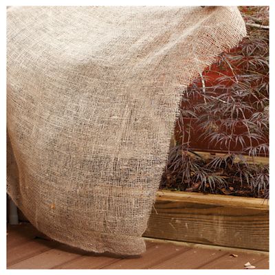 Image showing  3 ft. x 24 ft. Organic Burlap Fabric Roll