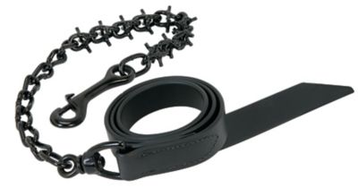 Weaver Leather Pronged Lead Chain, Black Lead/Black Chain