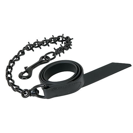 Weaver Leather Pronged Lead Chain, Black Lead/Black Chain